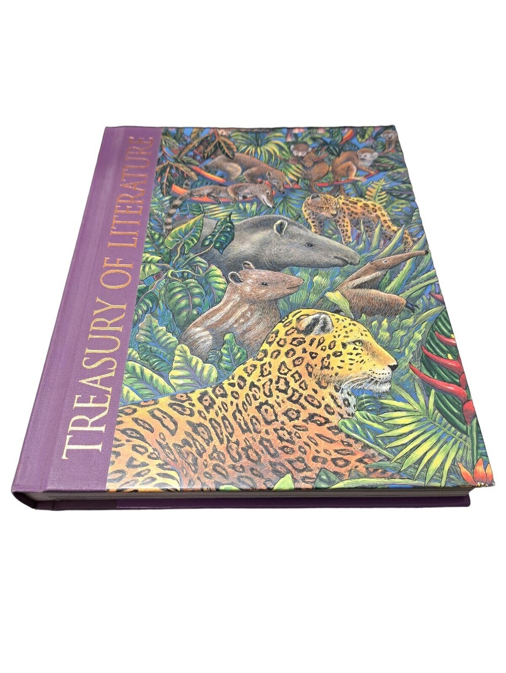 1995 Treasury of Literature: Emerald Forest